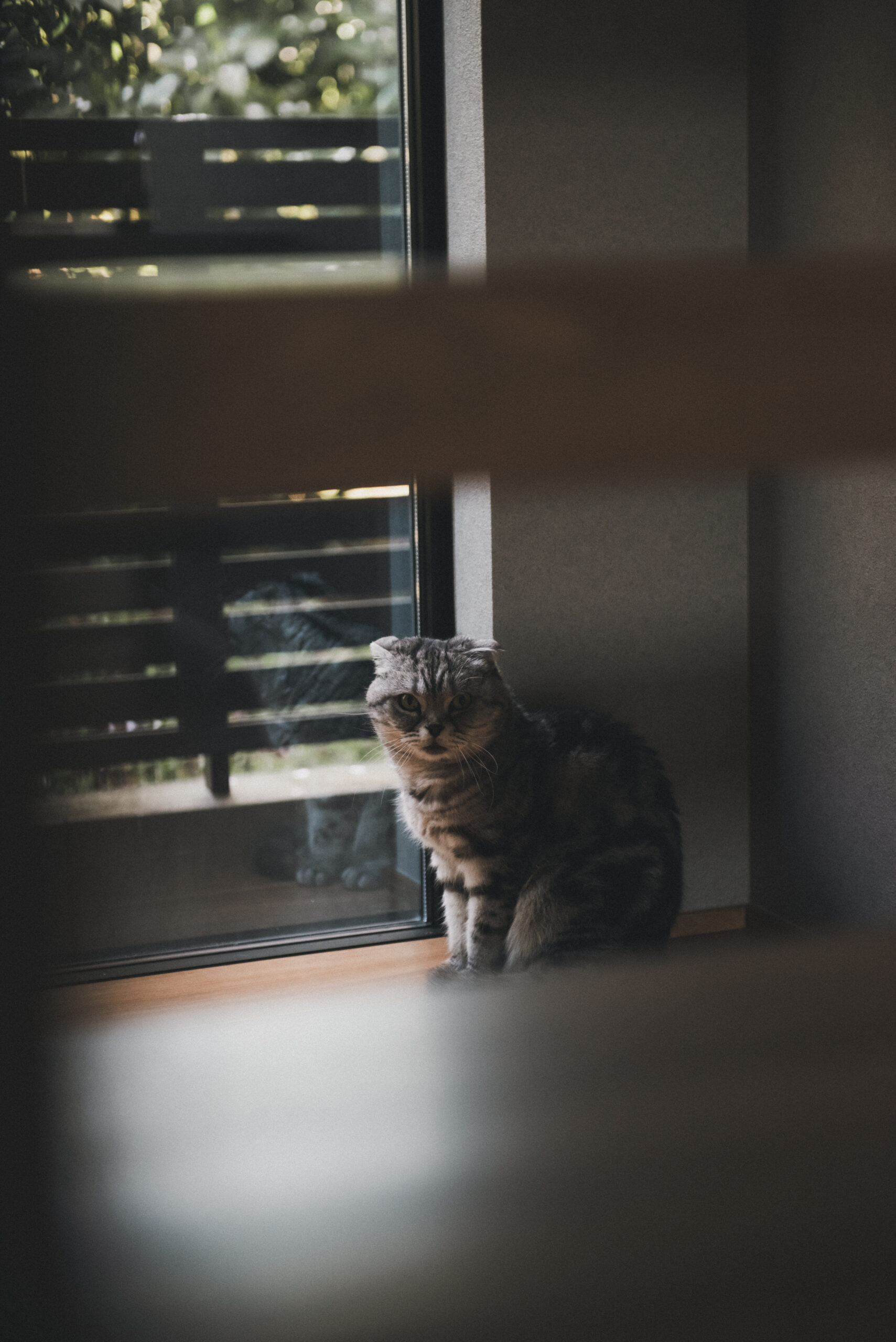 和を感じ、思い出を愛でる