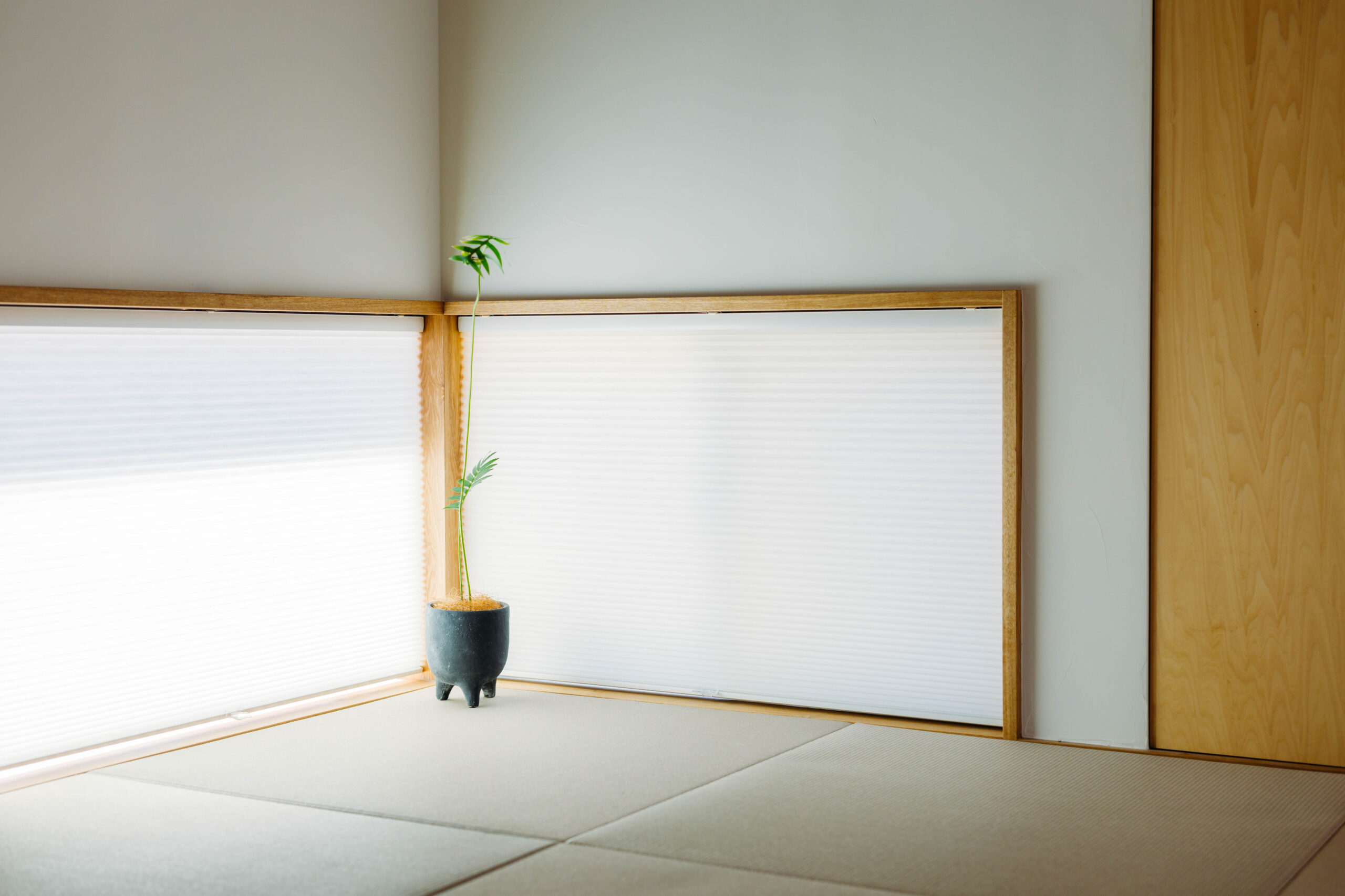 日々、ひとときの余白を